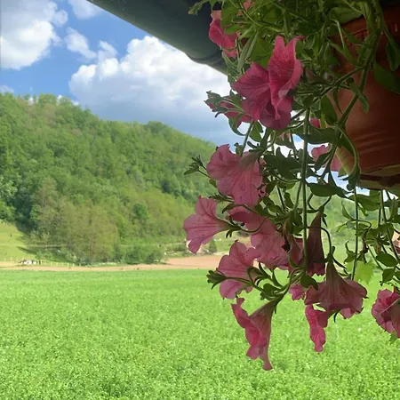 Pavlovic Lejlighed Rogacica