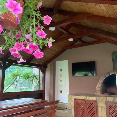 Pavlovic Lejlighed *