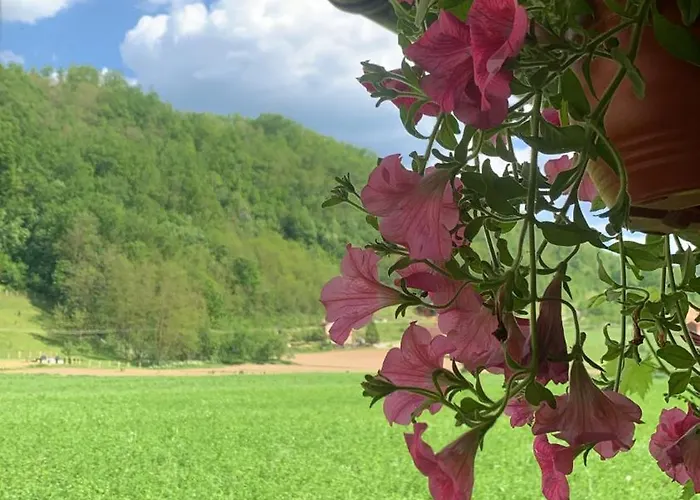 Pavlovic 아파트 Rogacica